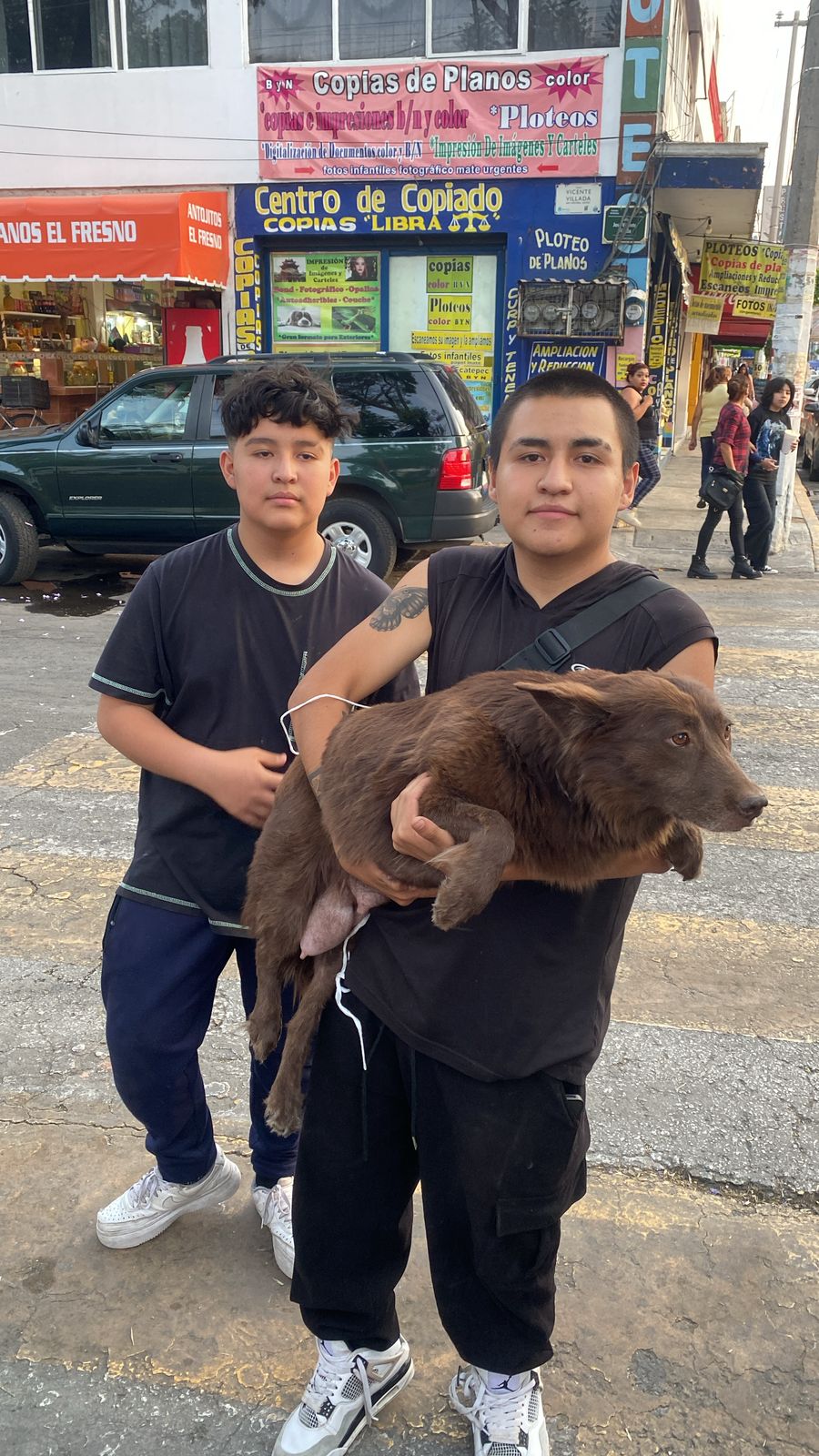 Brindan nueva vida a perritos rescatados de la base de un árbol en Ecatepec