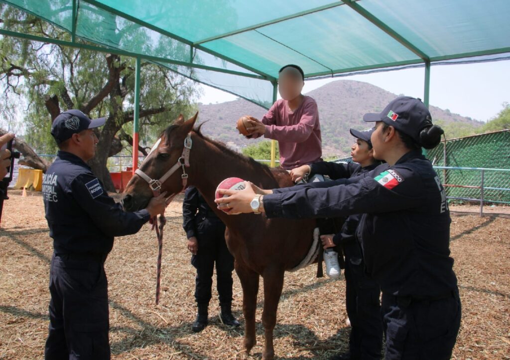 Beneficia Equinoterapia de Ecatepec a menores con trastorno autista