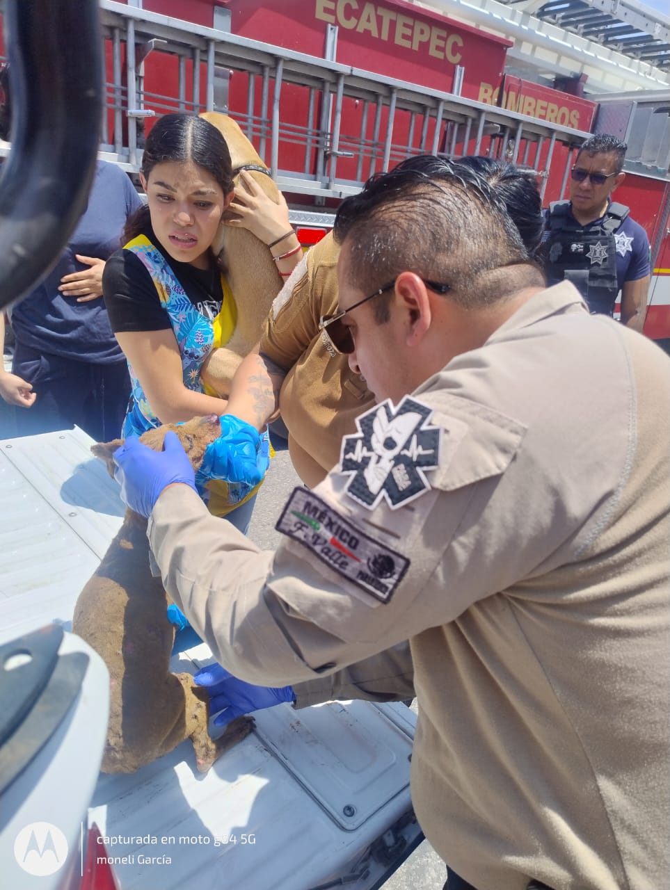 Personal de Rescate Urbano de Ecatepec atiende a perro con quemaduras de segundo grado por flamazo en vivienda
