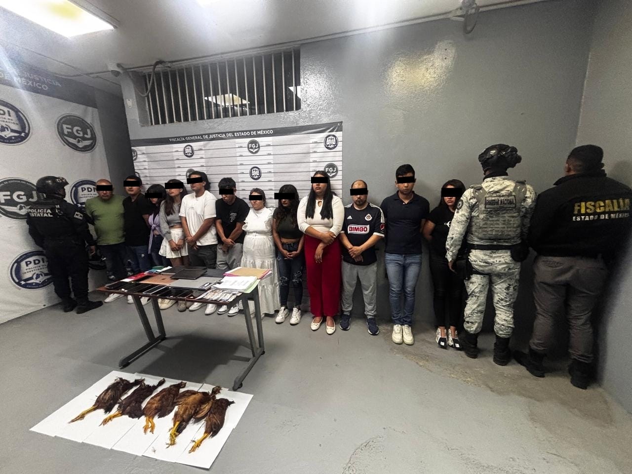 En operativo contra despojo detienen a 12 personas y aseguran call center