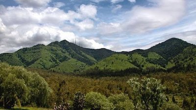 Daños mínimos sufrió la Sierra de Guadalupe por incendios forestales